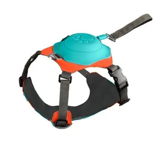 For Paws™ Harness & Leash