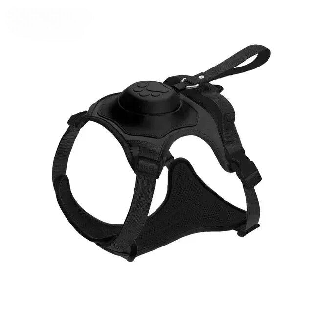 For Paws™ Harness & Leash