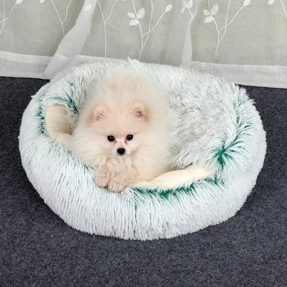 For Paws™ Cozy Cave Bed