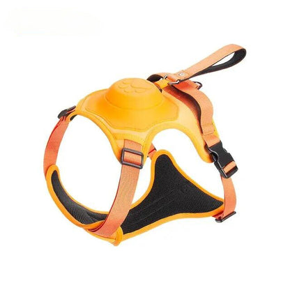 For Paws™ Harness & Leash