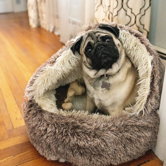 For Paws™ Cozy Cave Bed