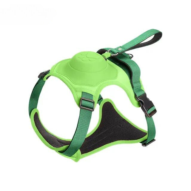 For Paws™ Harness & Leash